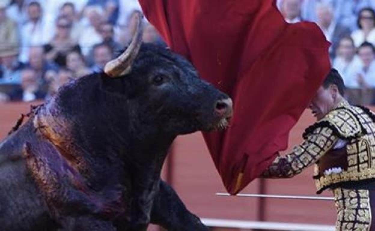 Presentada en la Real Maestranza de Caballería la revista de la Peña Joselito 'El Gallo'