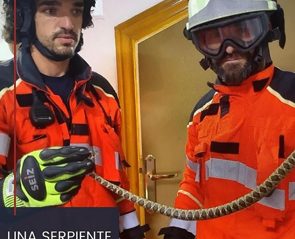 Dos bomberos sostienen la serpiente encontrada en el baño de una familia de Guadix.