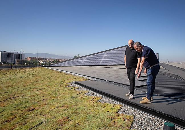 Supervisando la obra.