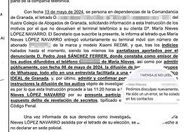 La líder de IU en Láchar, investigada como presunta autora de un delito de revelación de secretos