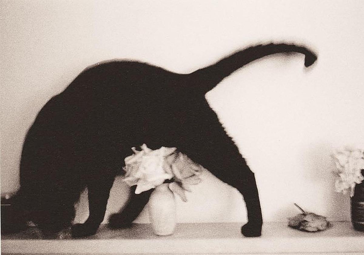 Imagen principal - Imágenes de Manuel Bello que se exponen en Condes de Gabia. 