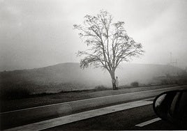 Paisaje brumoso desde un coche.