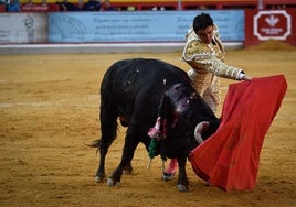 Uno de los momentos destacados de la corrida lorquiana en Granada.