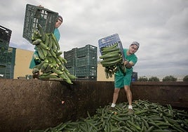 Almería incrementa su masa salarial en un 7,7% en el año 2023 y eleva el PIB un 2,6%