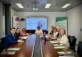 Reunión en la sede de Salud Responde en Jaén para analizar el Plan Andaluz de Atención a la Cronicidad.