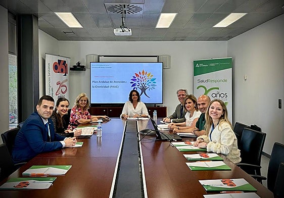Reunión en la sede de Salud Responde en Jaén para analizar el Plan Andaluz de Atención a la Cronicidad.