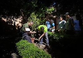 Plantando el arrayán en uno de los parterres del patio lapidario del museo.