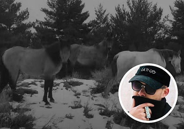 Un fotograma de 'Malicia' con los caballos de Sierra Nevada junto a Dellafuente.