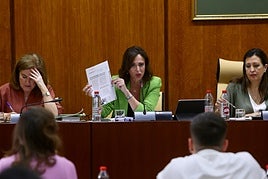 La consejera de Fomento, Articulación del Territorio y Vivienda, Rocío Díaz.