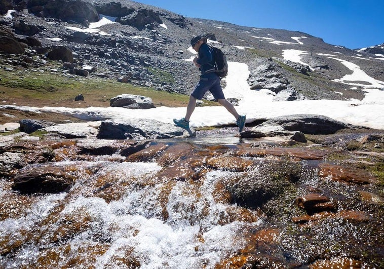 Los riachuelos brotan por doquier con el deshielo en Sierra Nevada.