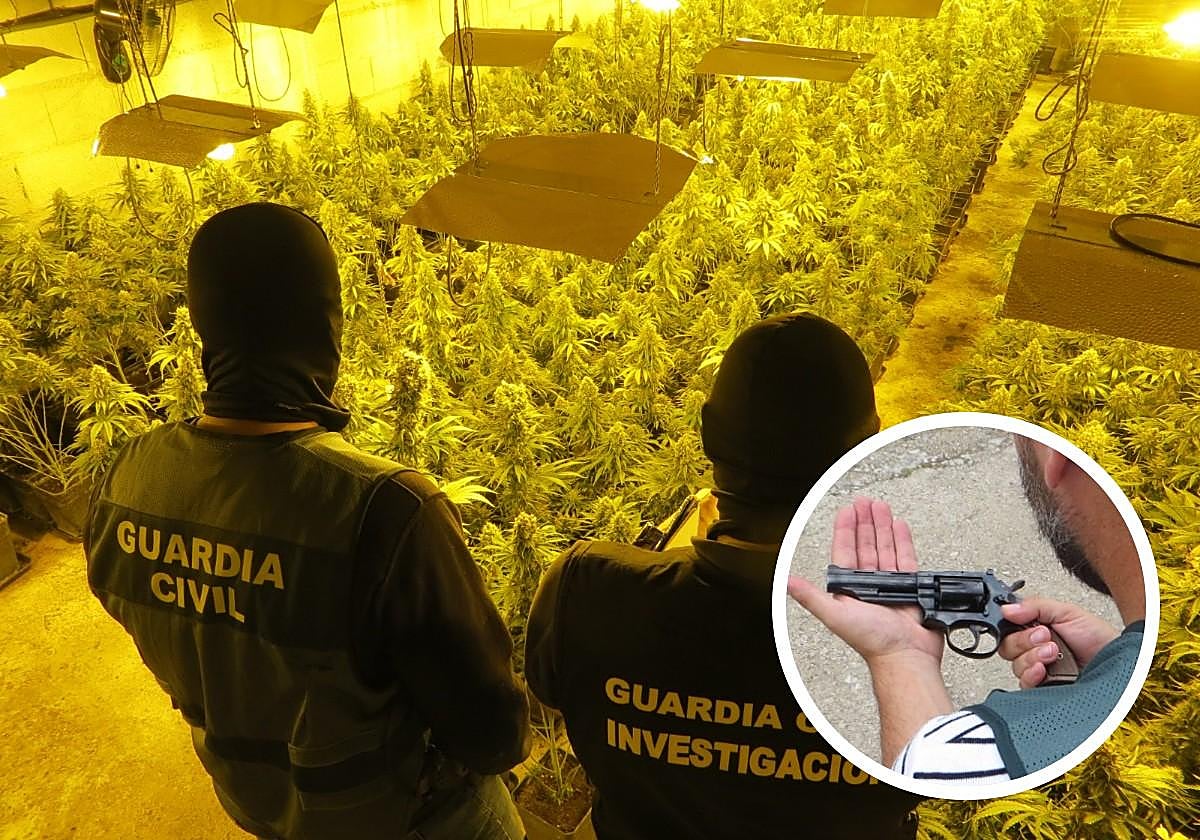 Una de las habitaciones llenas de marihuana y el revólver encontrado.