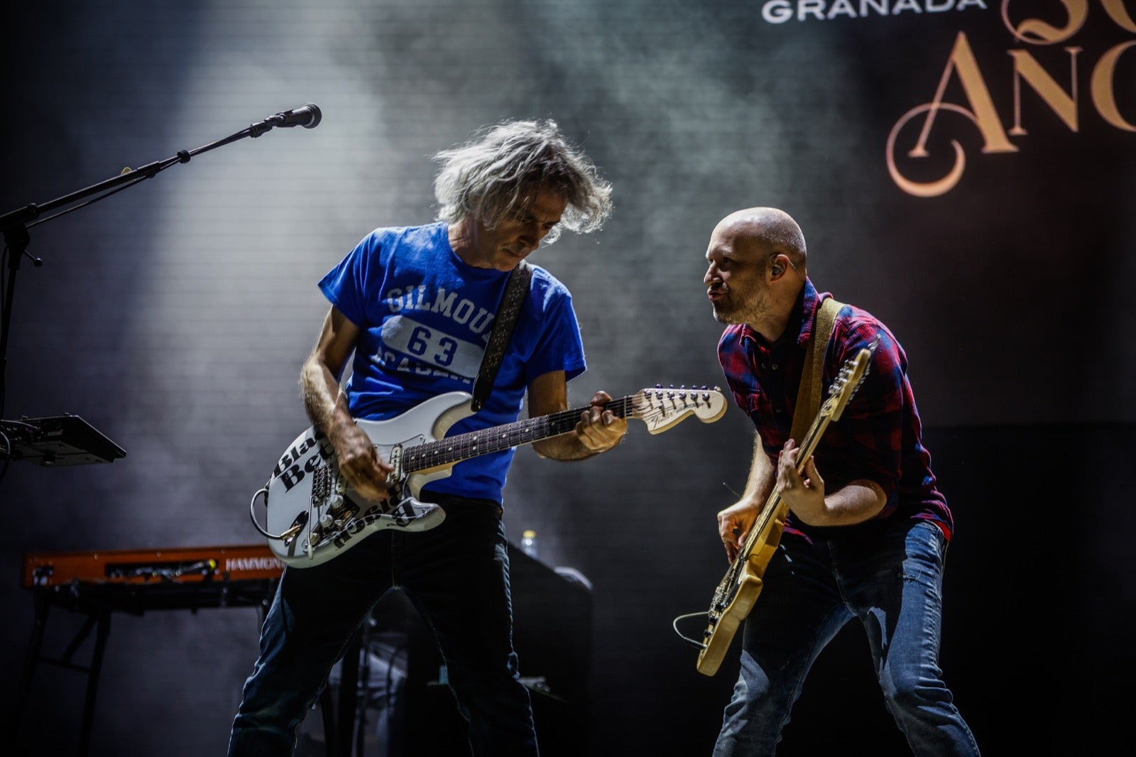 Las imágenes de una noche para el recuerdo: Miguel Ríos &#039;reventó&#039; Granada