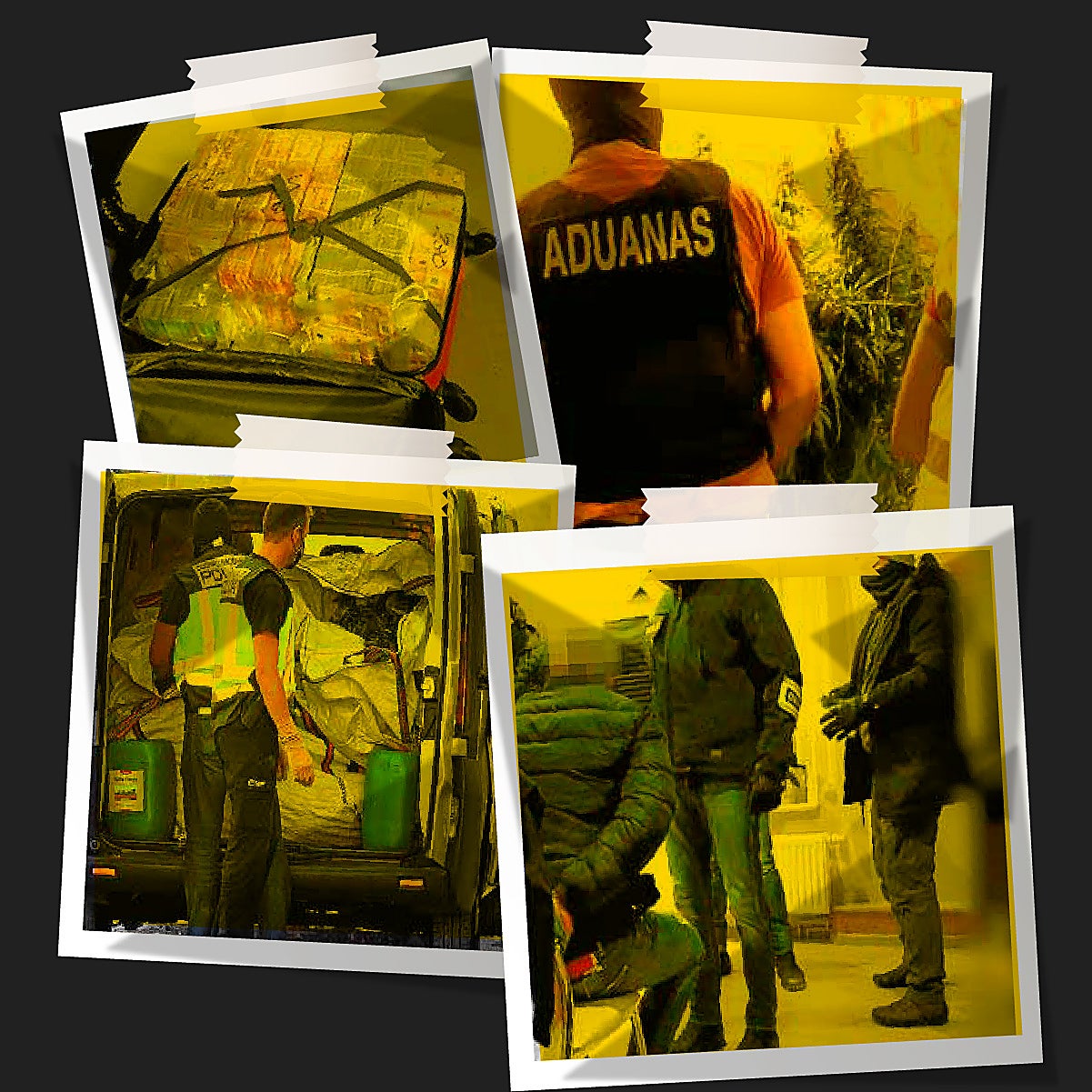 Las 7 mafias internacionales detectadas en Granada en la última década