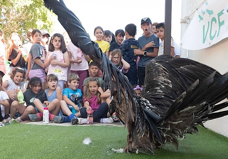 Niños de Dílar frente al quebrantahuesos