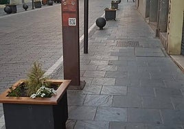 El macetero atacado en la calle Colón.