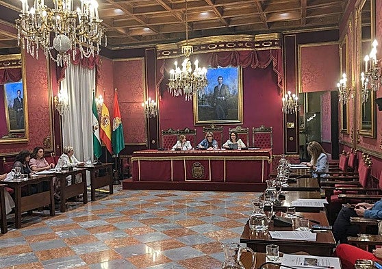 Comisión informativa de Movilidad, este martes.