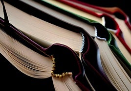 Vemos lo que deseamos ver