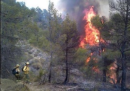 El 80% de la masa forestal que ha ardido en Andalucía este año ha sido en la provincia de Almería