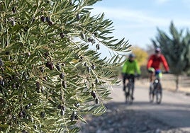 Vía Verde del Aceite