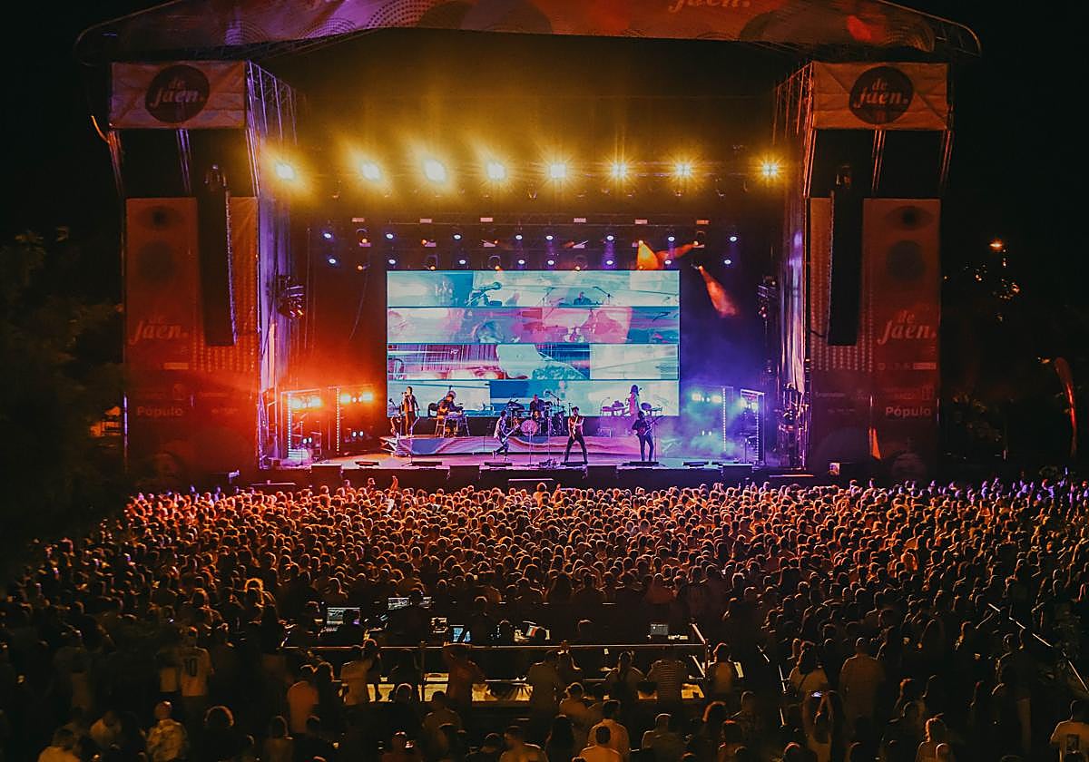 'Viva Suecia' en el concierto