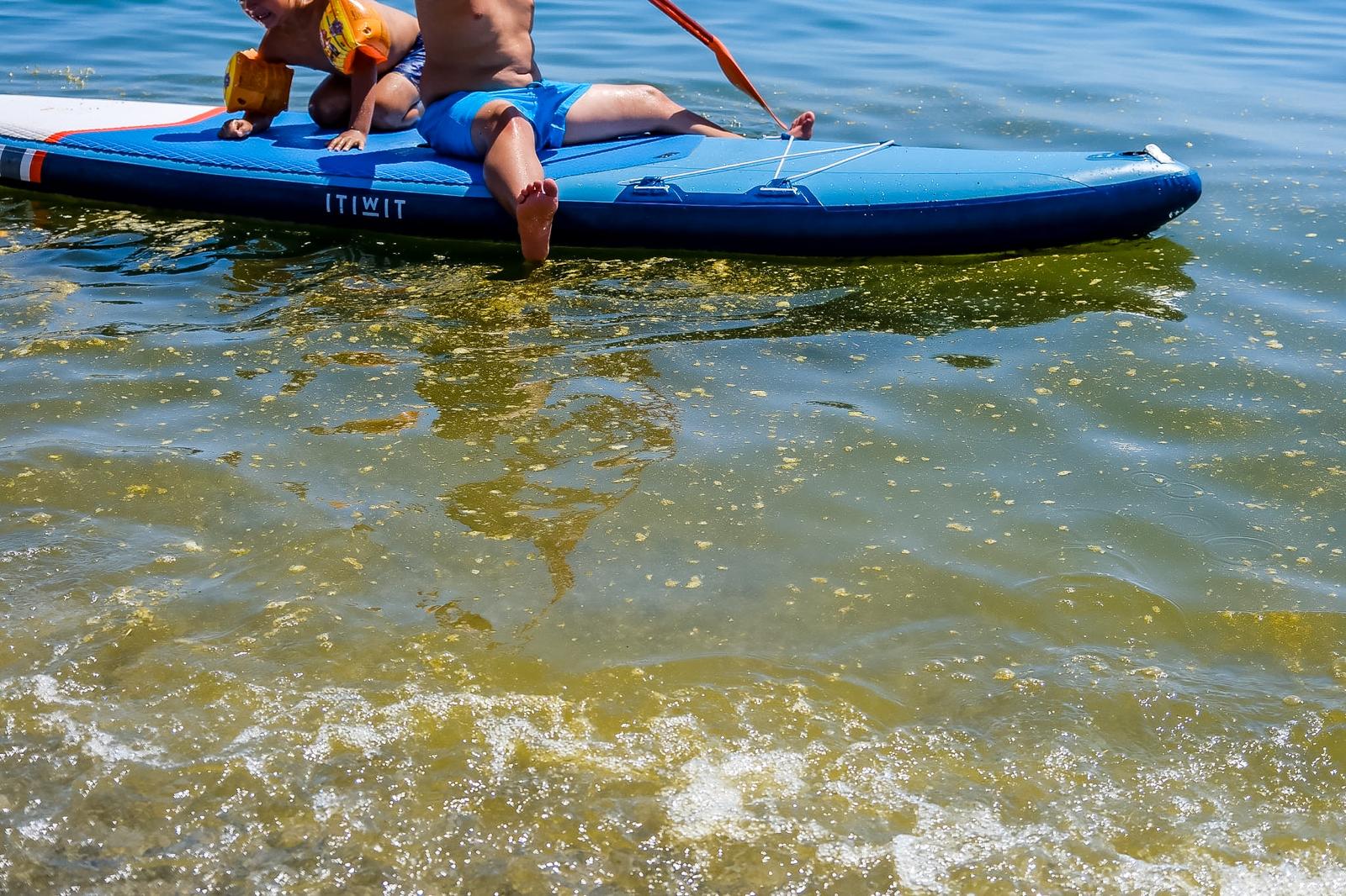 Las imágenes del regreso de la mancha a la playa de Salobreña
