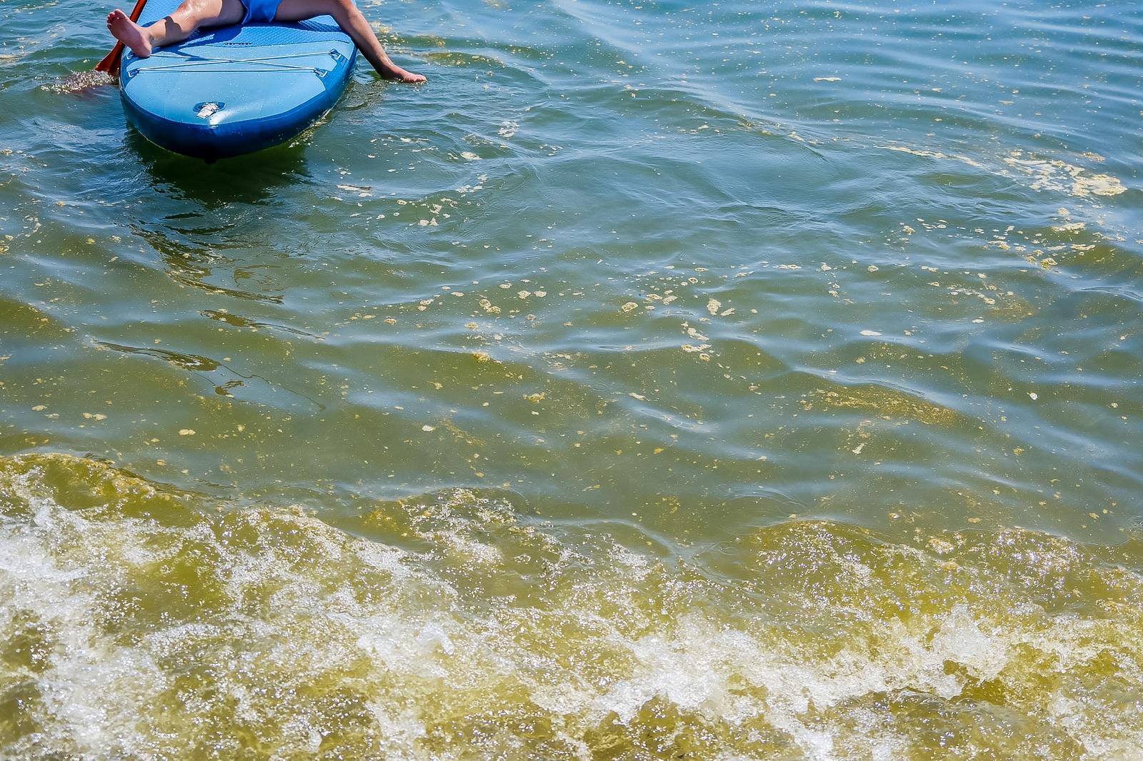 Las imágenes del regreso de la mancha a la playa de Salobreña