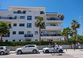 Imagen de la calle Rector Federico Mayor Zaragoza este domingo .