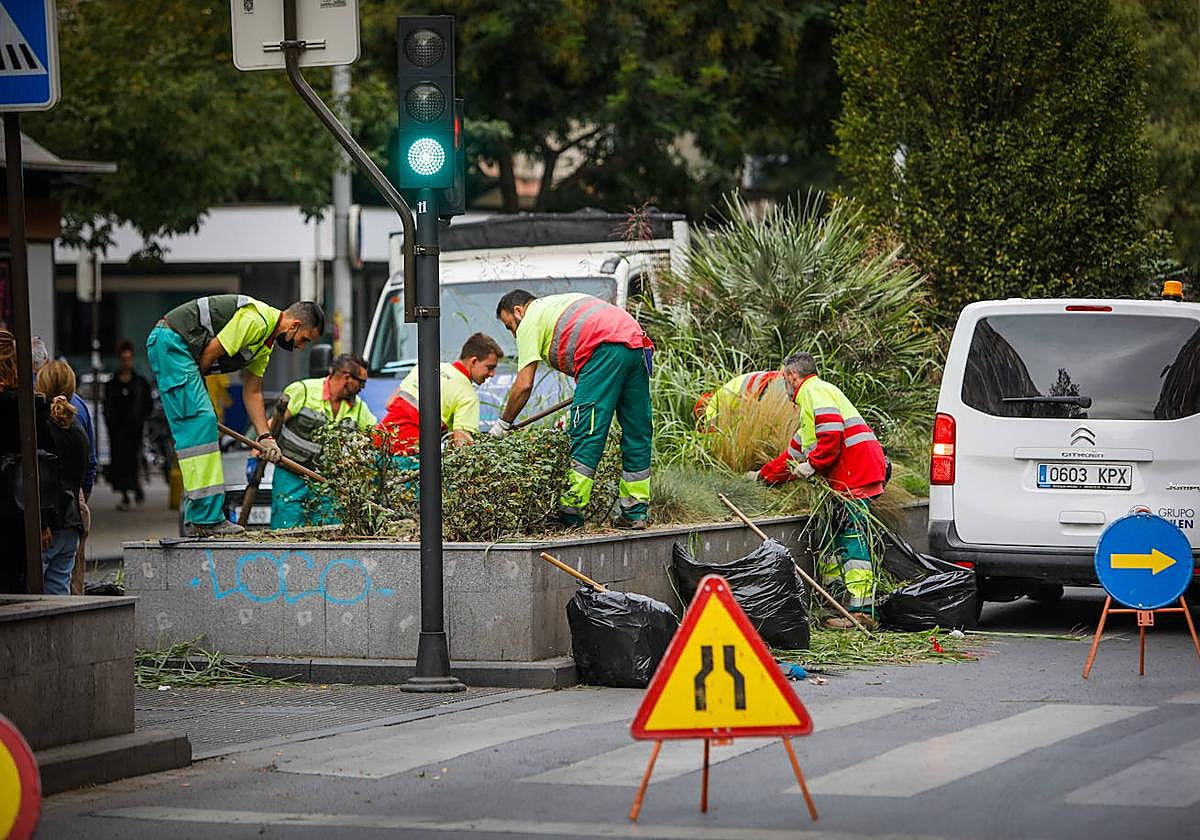 Jardineros municipales en Camino de Ronda.