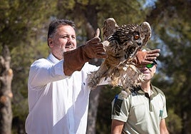 Suelta de un búho real en Santa Fe