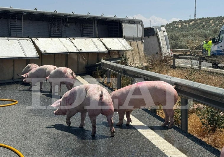 Accidente en la A-92, entre los municipios de Fuensanta y Moraleda de Zafayona.