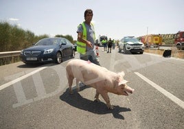 Accidente en la A-92 a la altura de Fuensanta