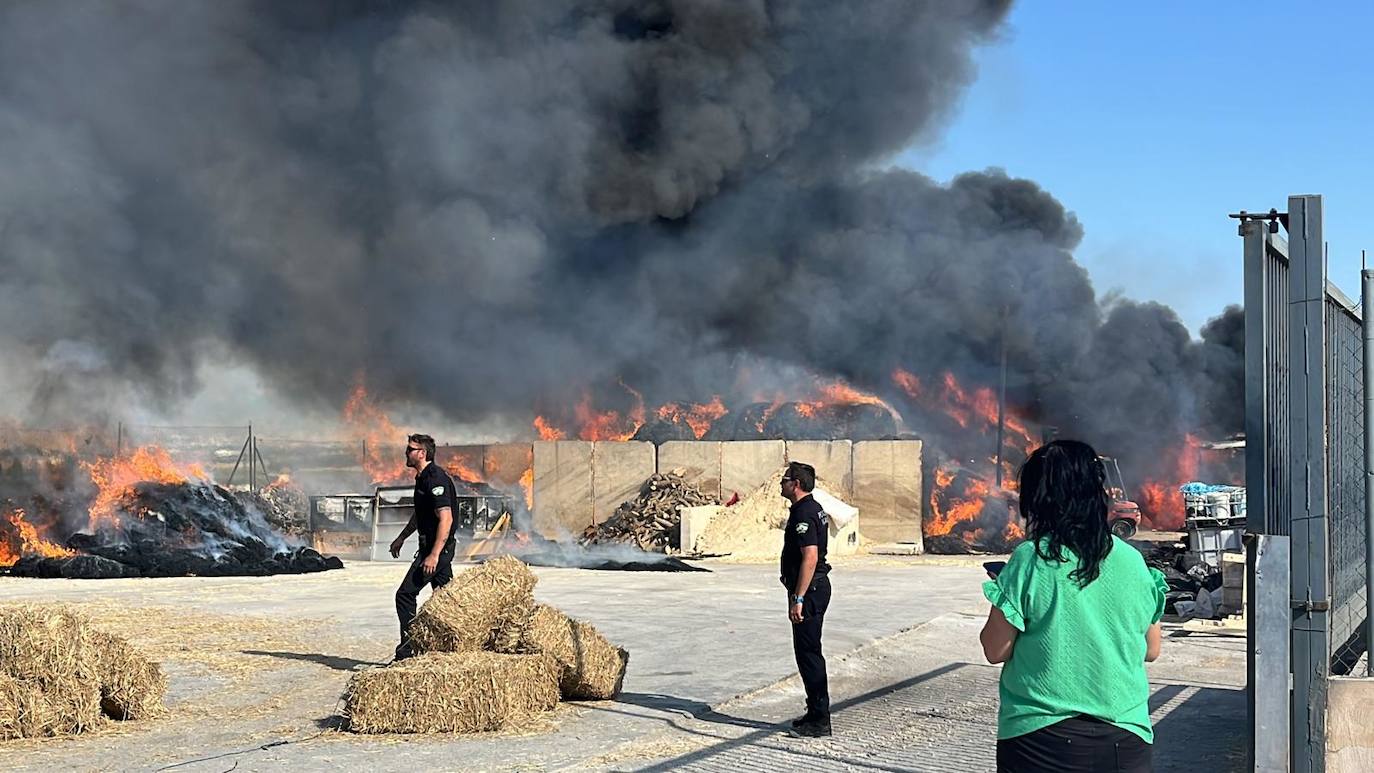 Las imágenes del incendio en Pinos Puente