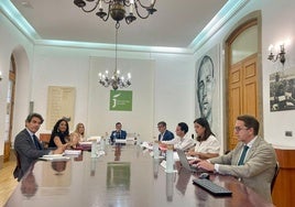 Pleno de la Cámara de Cuentas en la Diputación de Jaén.