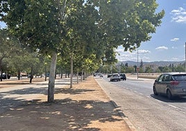 El mercadillo se instala cada domingo en la calle Casería Aguirre -en la foto- y en la Avenida Joaquina Eguaras, la perpendicular.