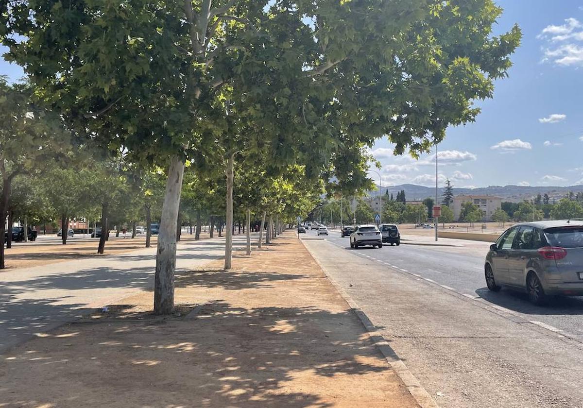 El mercadillo se instala cada domingo en la calle Casería Aguirre -en la foto- y en la Avenida Joaquina Eguaras, la perpendicular.