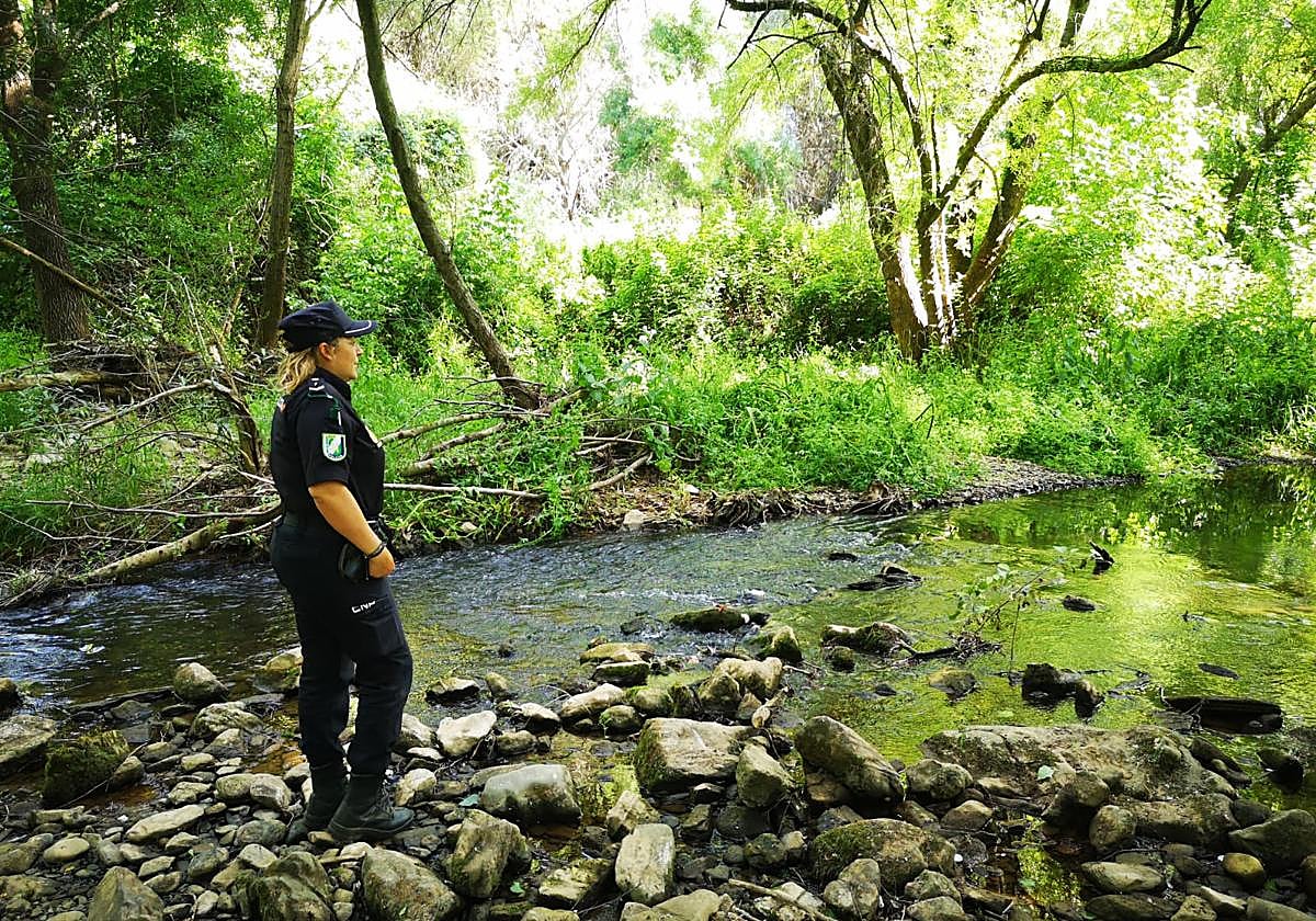 Policía Nacional Adscrita de Andalucía en la comuna hippie de Pago Beneficio.