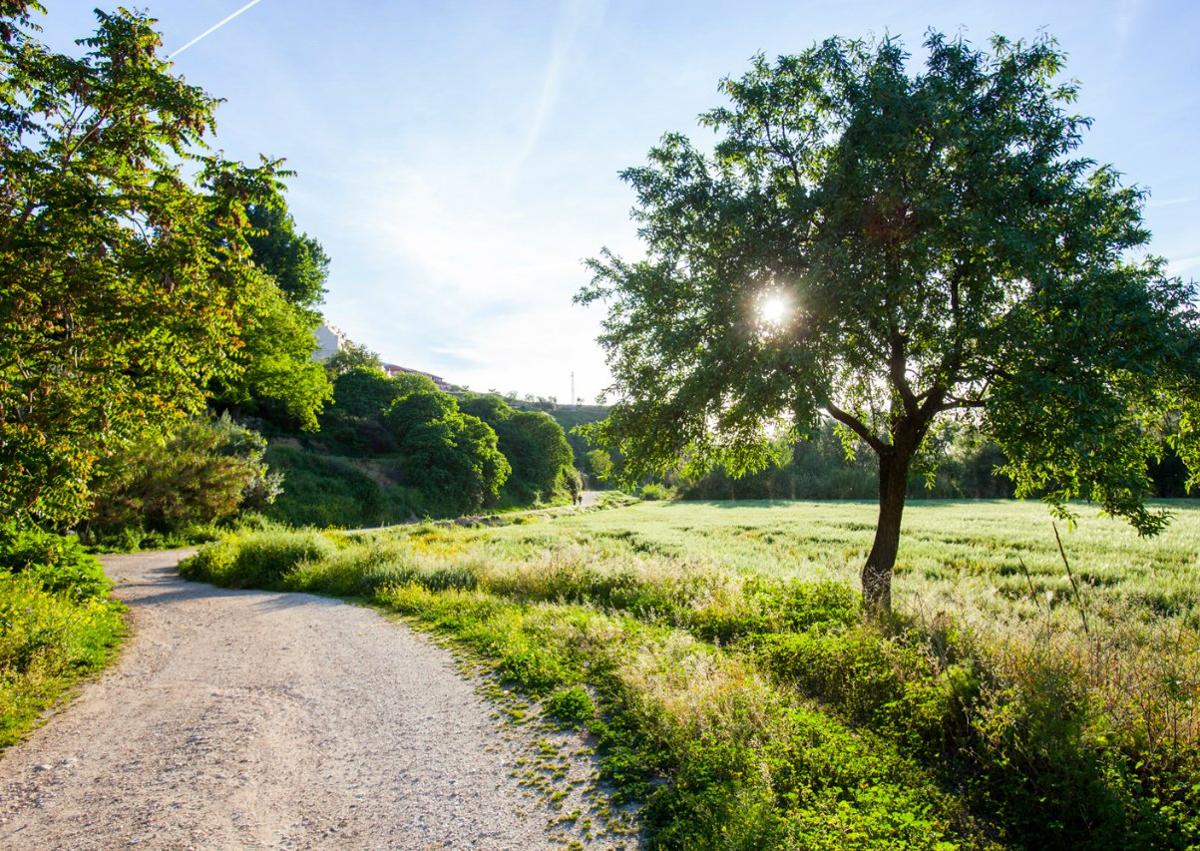 Imagen secundaria 1 - Plan perfecto para escapar del calor: Una ruta por los &#039;Infiernos de Granada&#039; entre cascadas y cuevas