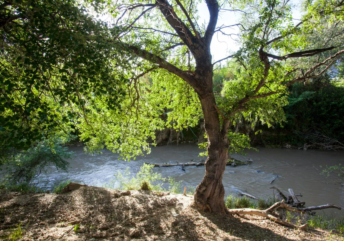 Imagen principal - Plan perfecto para escapar del calor: Una ruta por los &#039;Infiernos de Granada&#039; entre cascadas y cuevas