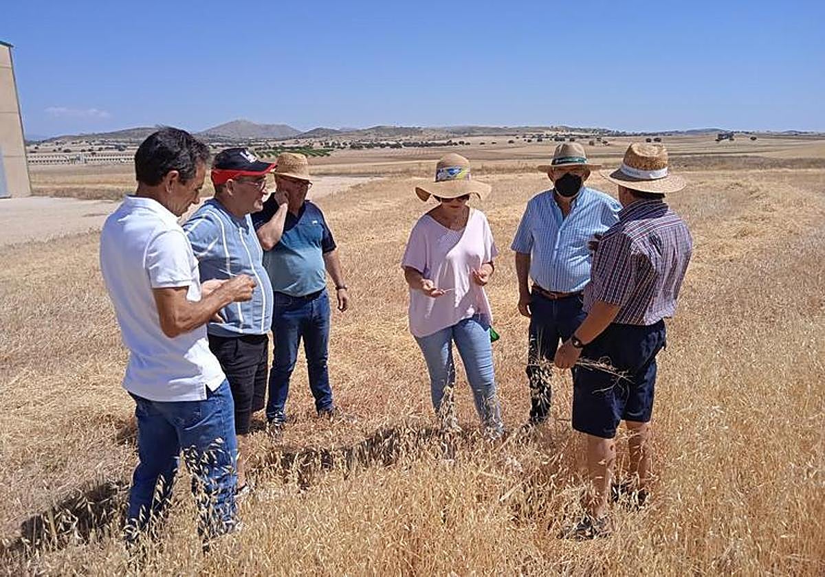 Asaja calcula una caída del 22% del valor de la producción hortofrutícola pese a crecer un 14% en esta campaña