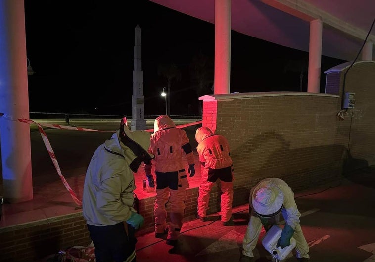 Rescatan cinco panales de abejas de la Playa de Poniente de Motril