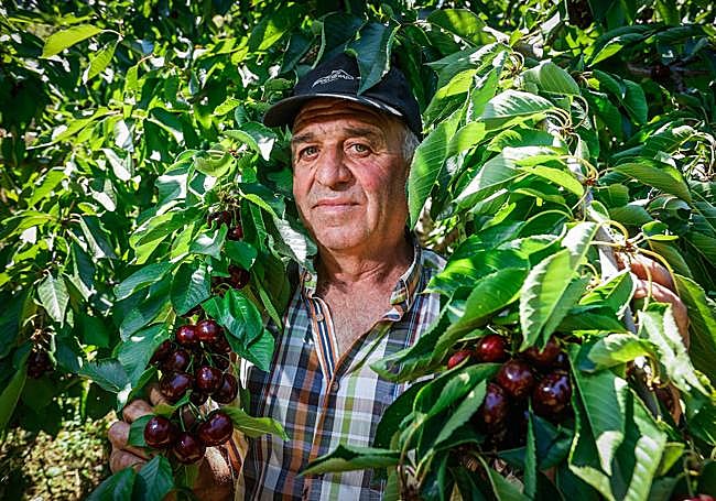 Juan Manuel junto a sus cerezas.