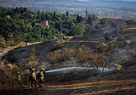 Zona quemada con parte de la Alhambra de fondo.