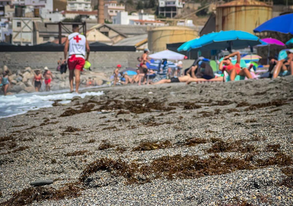 Imagen de una playa granadina este fin de semana.