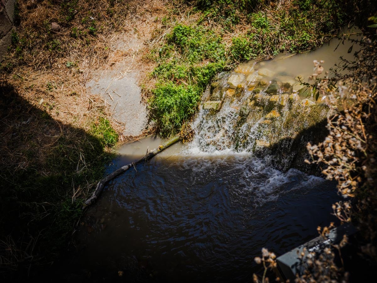 Las imágenes de la suciedad del río Darro este viernes en Granada