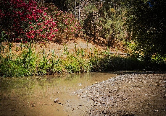 El río Darro bajaba completamente turbio el jueves por la tarde.