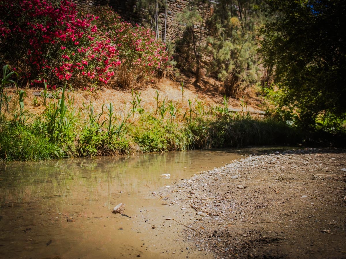 Las imágenes de la suciedad del río Darro este viernes en Granada