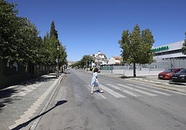 Una mujer cruza por la avenida de la Diputación de Atarfe, donde ocurrió el suceso.
