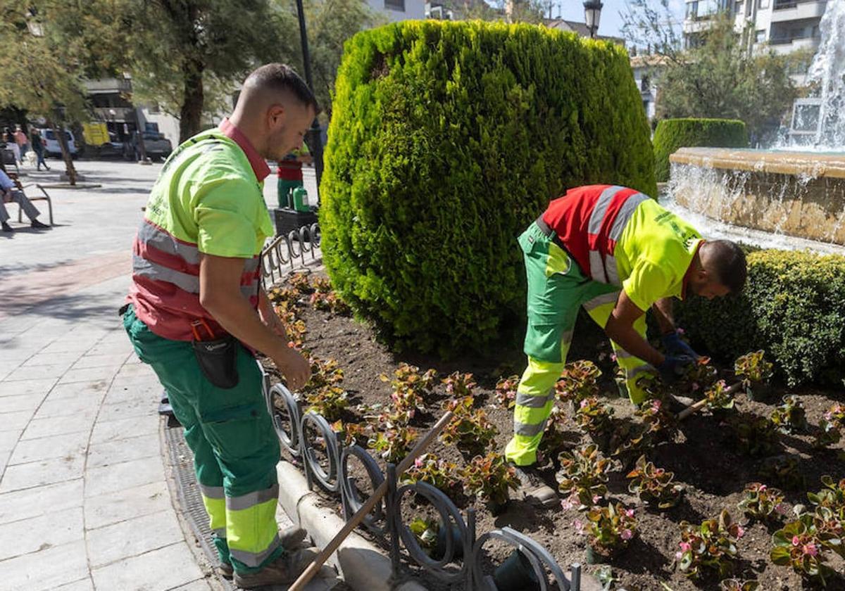 El BOE publica más de 100 plazas empleo público para trabajar en Andalucía.