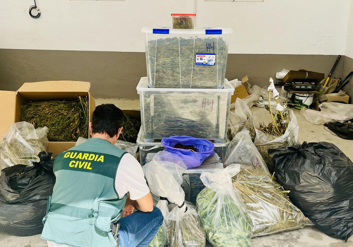 Dos detenidos en Granada por un delito de cultivo y elaboración de droga