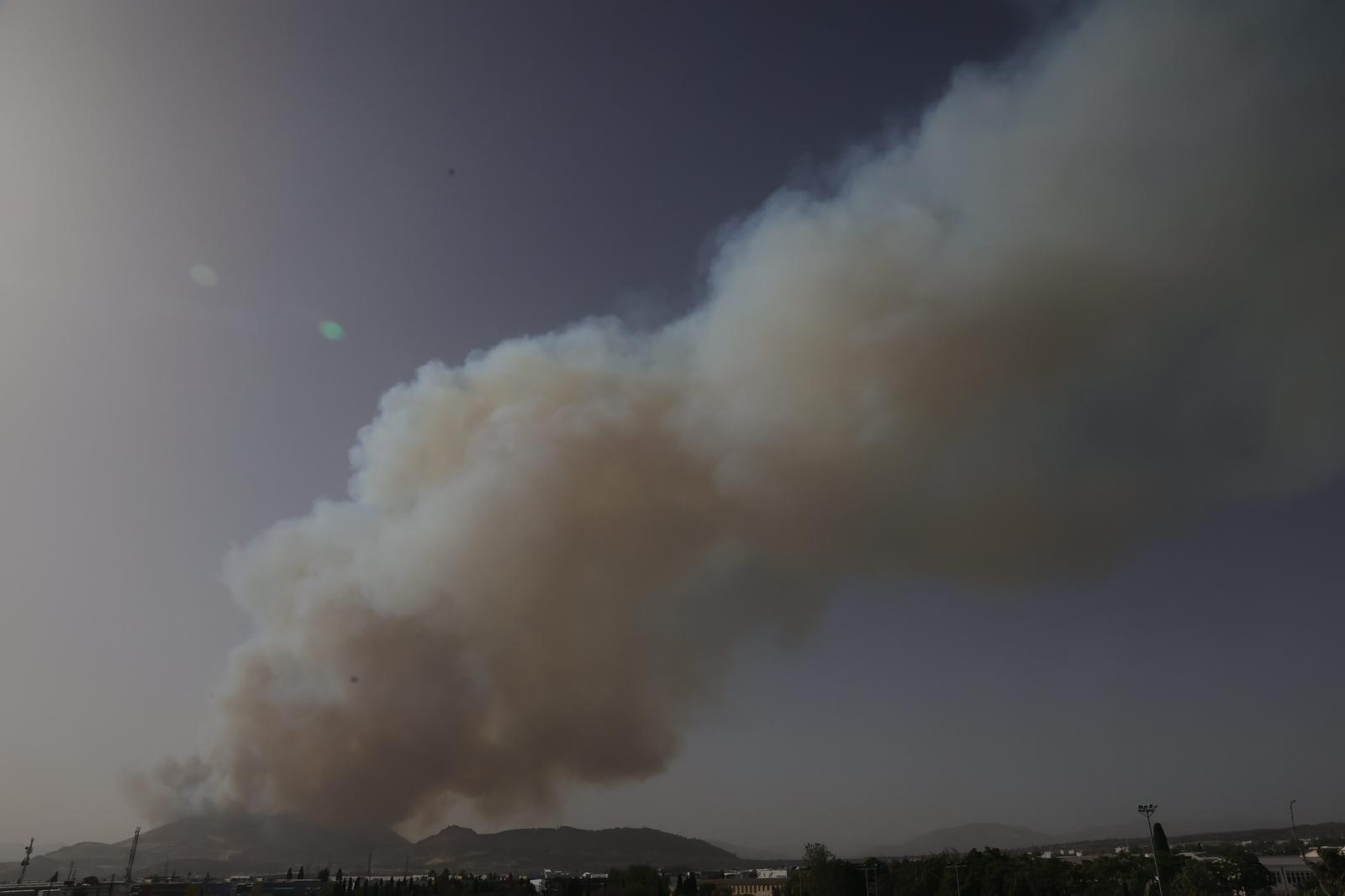 Las imágenes del incendio forestal de Pinos Puente